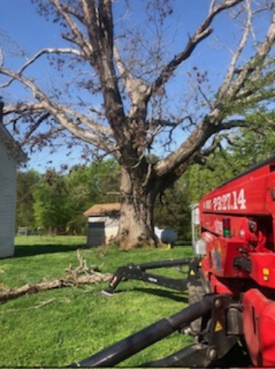 {{ custom_values.service_1 }} in {{custom_values.area_3})