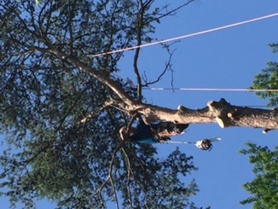 {{ custom_values.service_2 }} in {{custom_values.area_3})