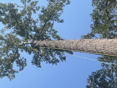 {{ custom_values.service_3 }} in {{custom_values.area_3})