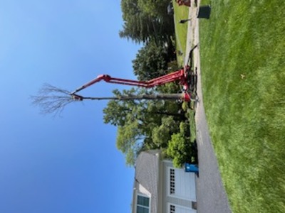 {{ custom_values.service_1 }} in {{custom_values.area_3})