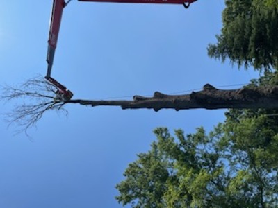 {{ custom_values.service_4 }} in {{custom_values.area_3})