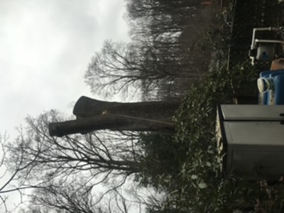 {{ custom_values.service_1 }} in {{custom_values.area_3})