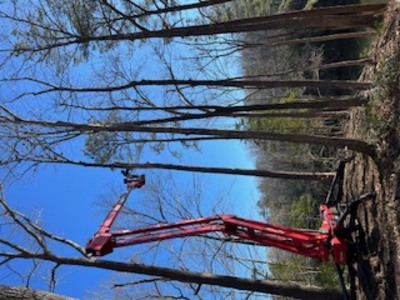 {{ custom_values.service_4 }} in {{custom_values.area_3})