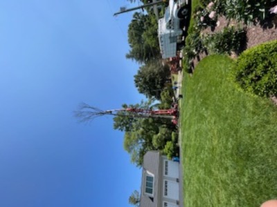 {{ custom_values.service_3 }} in {{custom_values.area_3})