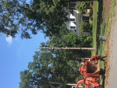 {{ custom_values.service_3 }} in {{custom_values.area_3})