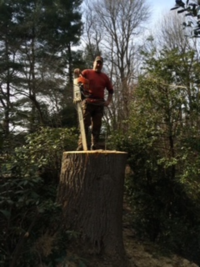 {{ custom_values.service_1 }} in {{custom_values.area_3})