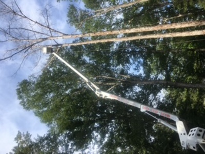 {{ custom_values.service_1 }} in {{custom_values.area_3})