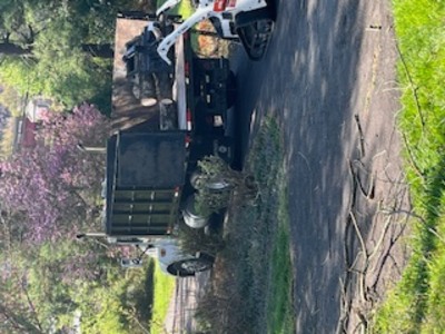 {{ custom_values.service_4 }} in {{custom_values.area_3})