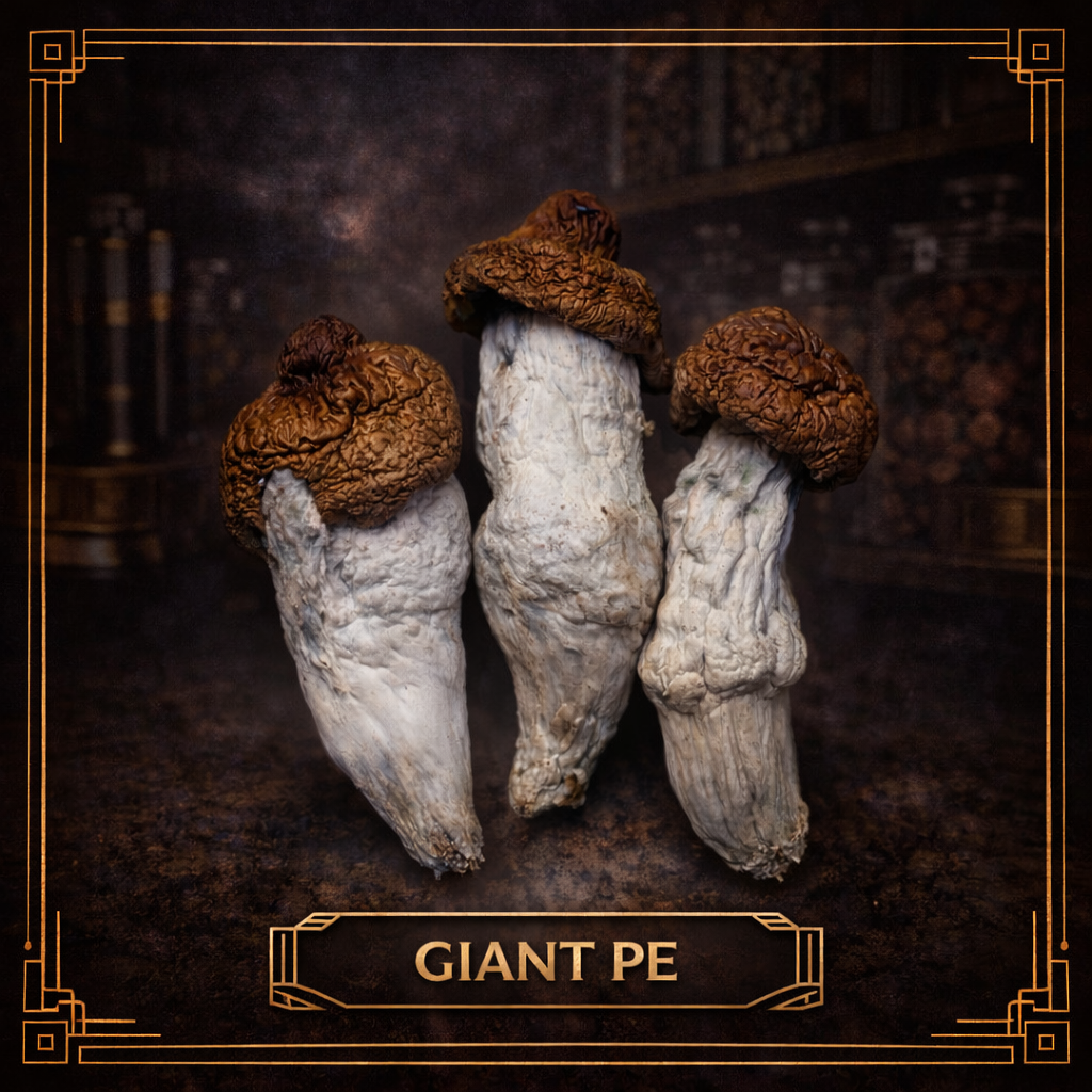 Giant PE