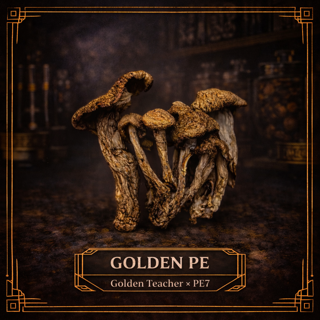 Golden PE