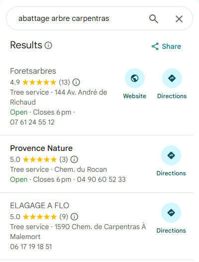 Recherche « abattage arbre carpentras » : Foretsarbres en 1ᵉ position sur Google