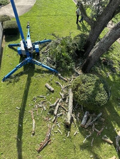 Brush clearing in Pensacola