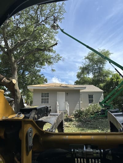 Tree removal in Pensacola
