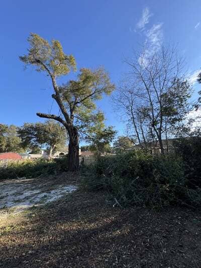 {{ custom_values.service_1 }} in {{custom_values.area_3})