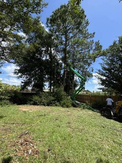 {{ custom_values.service_4 }} in {{custom_values.area_3})