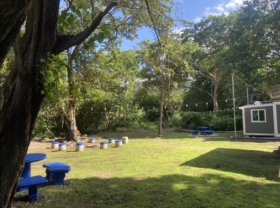 Garden yard at Monkey Houses
