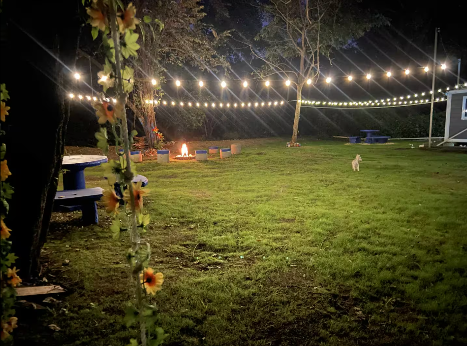 Yard at night with string lights