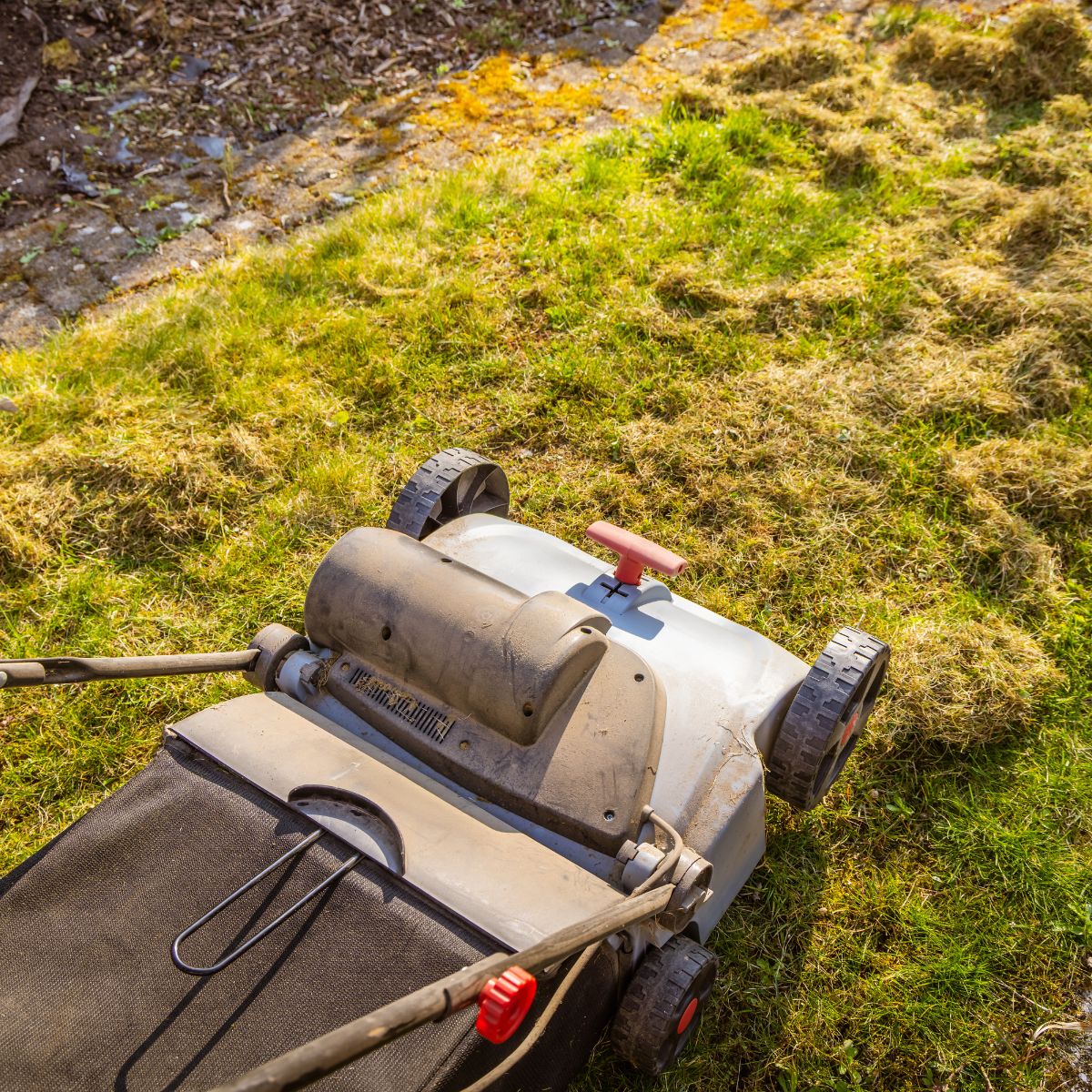 Yard Waste Removal