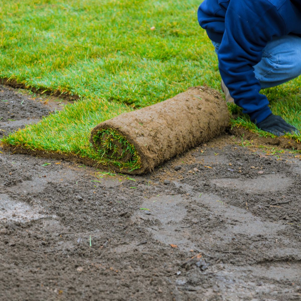 Sod Turf Artificial Grass