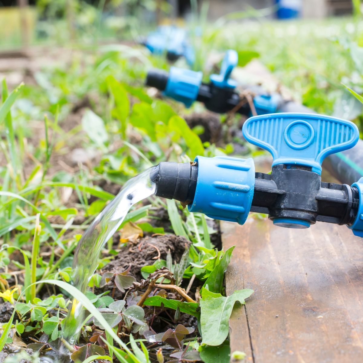 Drip Irrigation Smart Timers