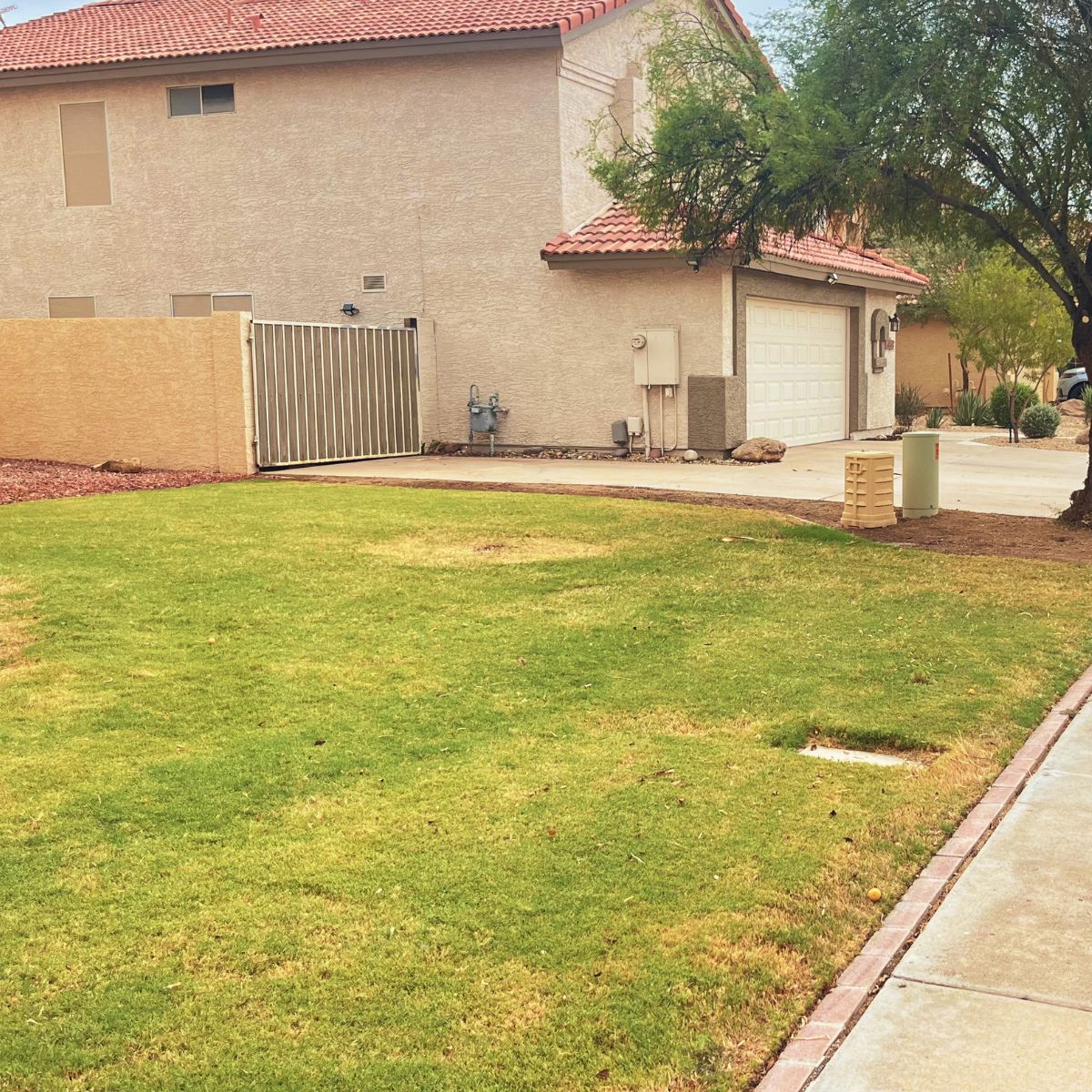 Landscape Design and Installation