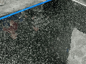 Garage Floor Epoxy Coating in San Diego
