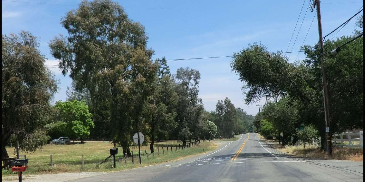 A sunny, oak-lined country road in Granite Bay