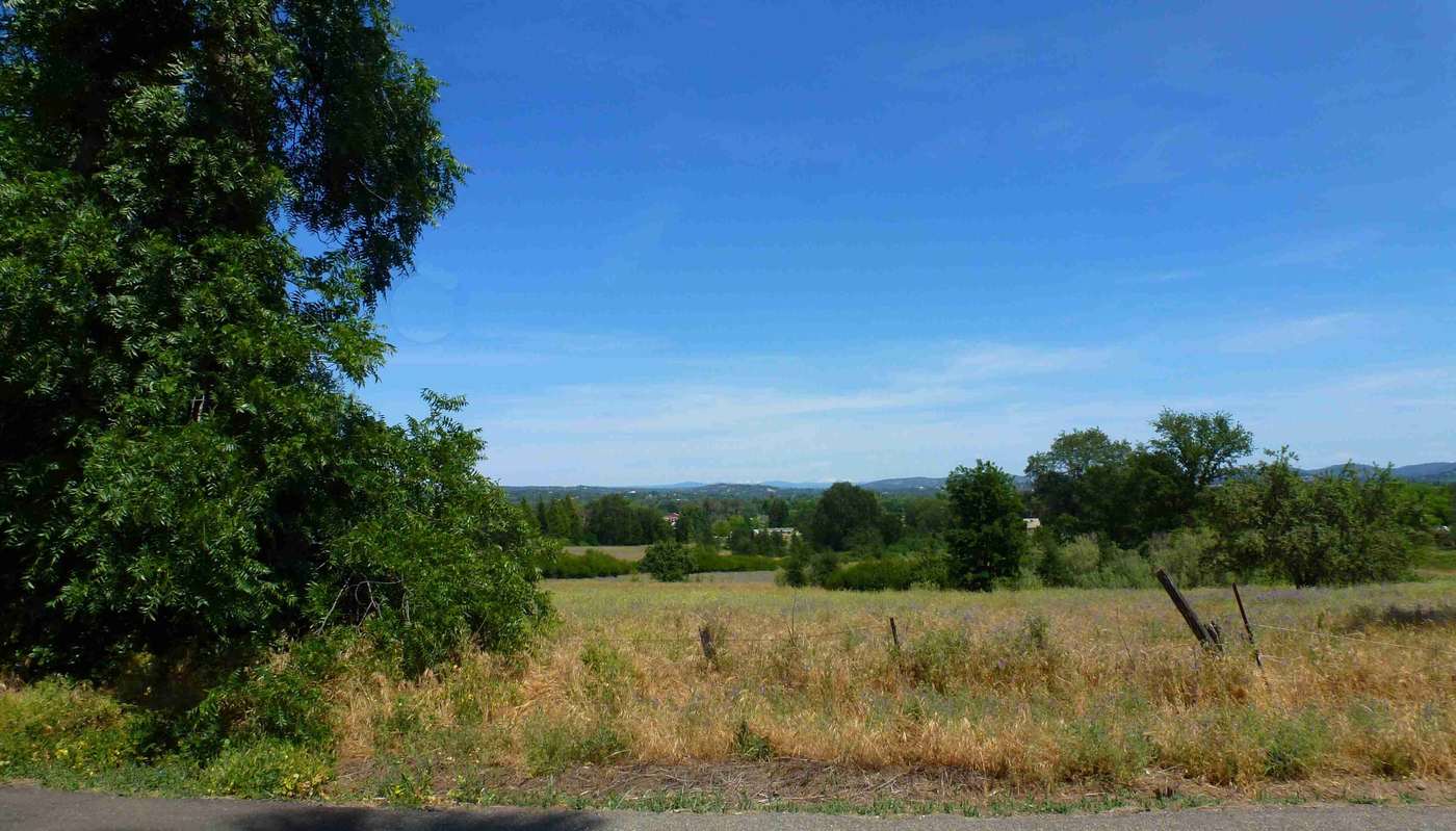 Open grassland and oak trees along Delmar Avenue, Rocklin
