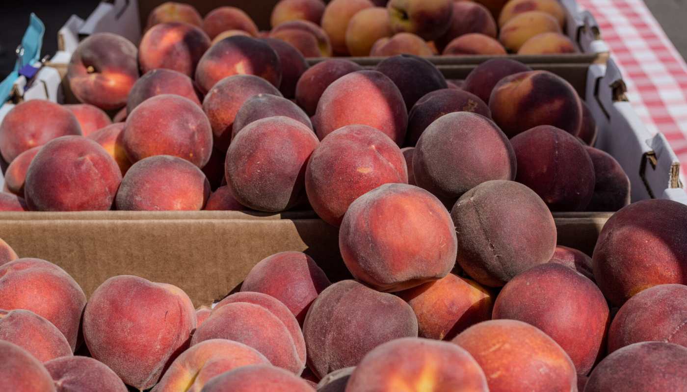 Crates of peaches at a Saturday farmers market