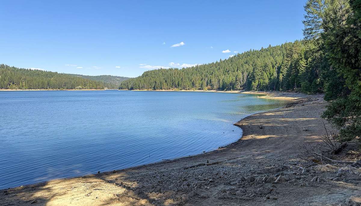 The shore of Jenkinson Lake near Pollock Pines