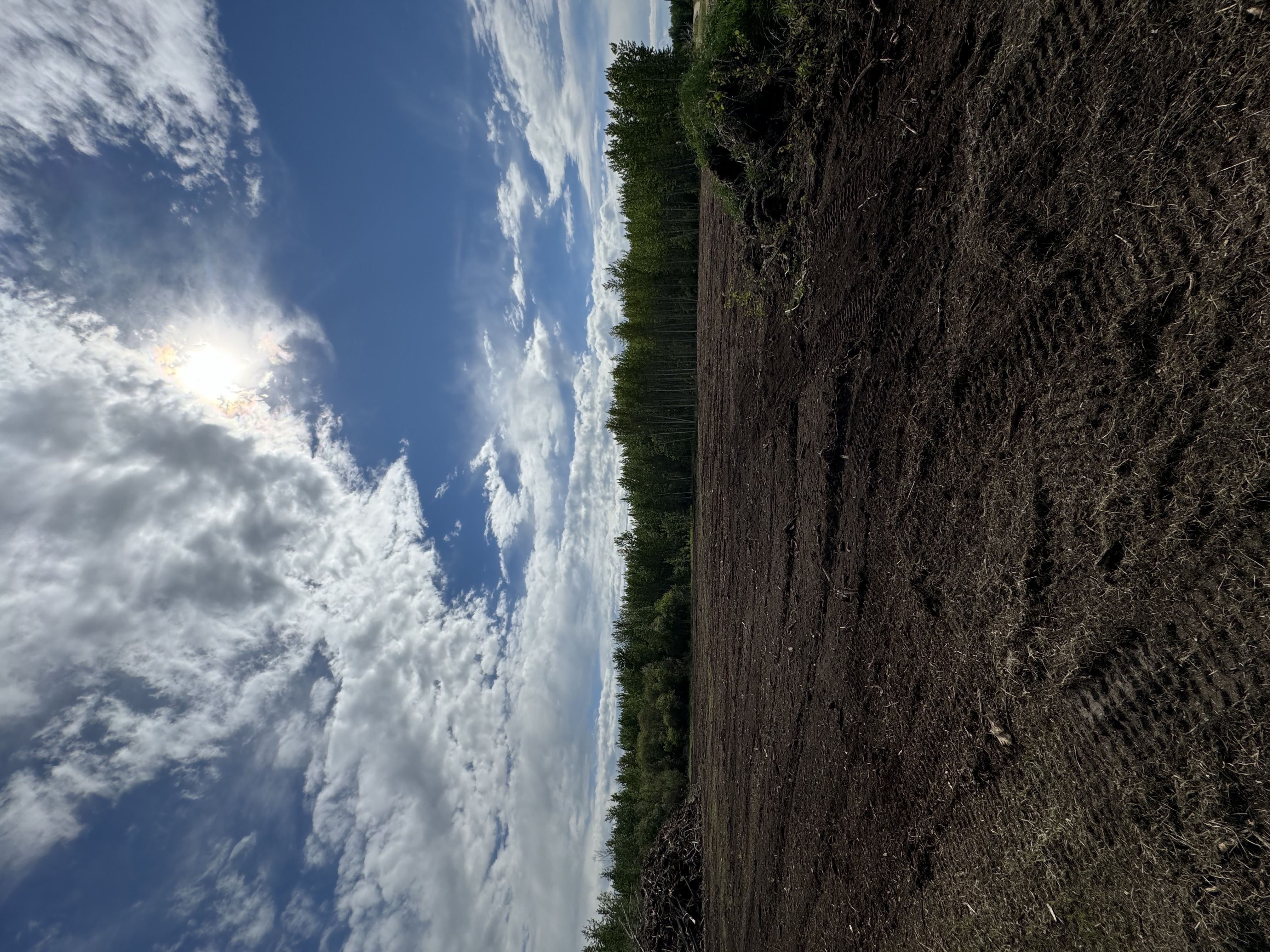 Land Clearing & Dozer Work