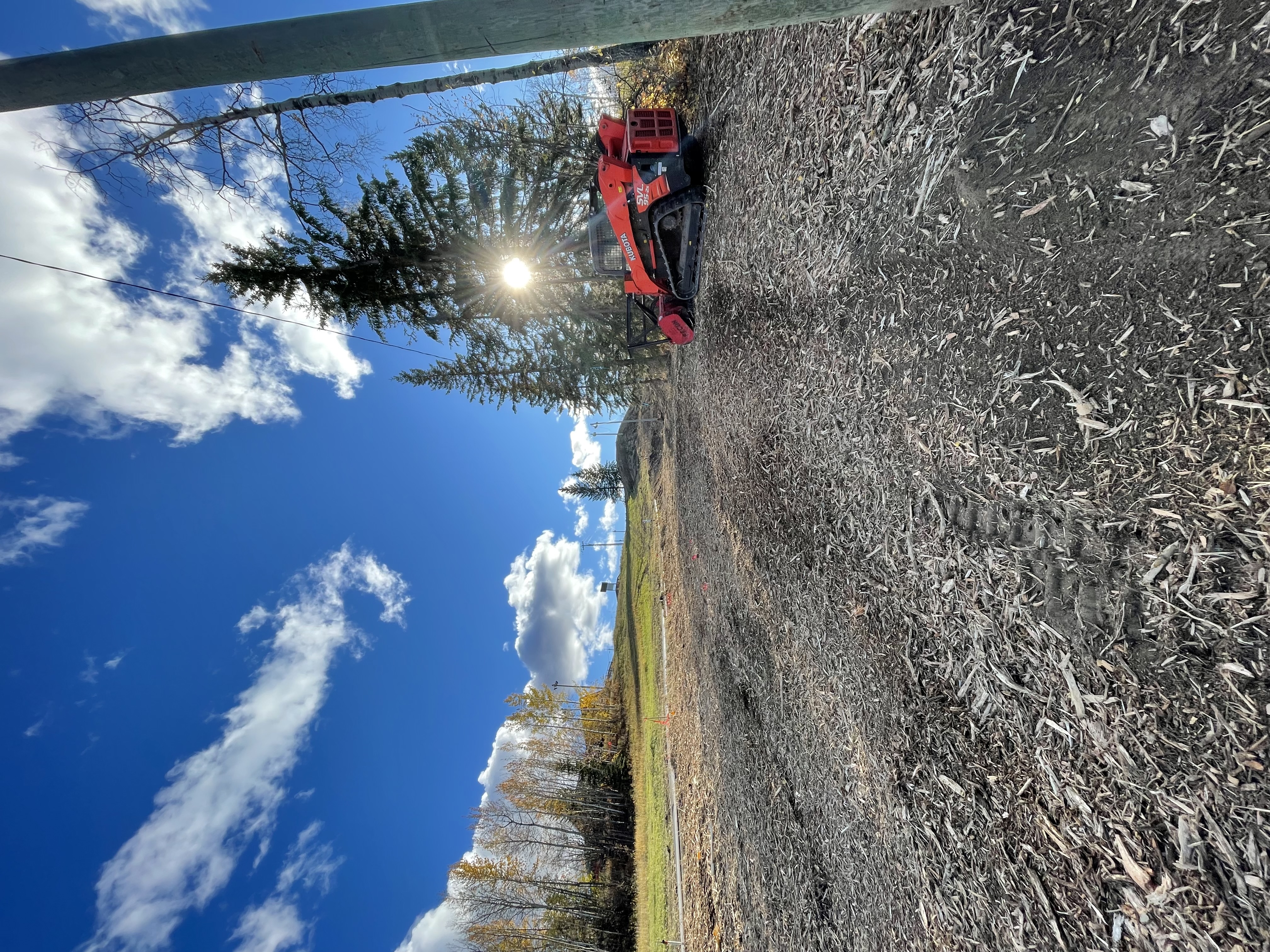 Forestry Mulching