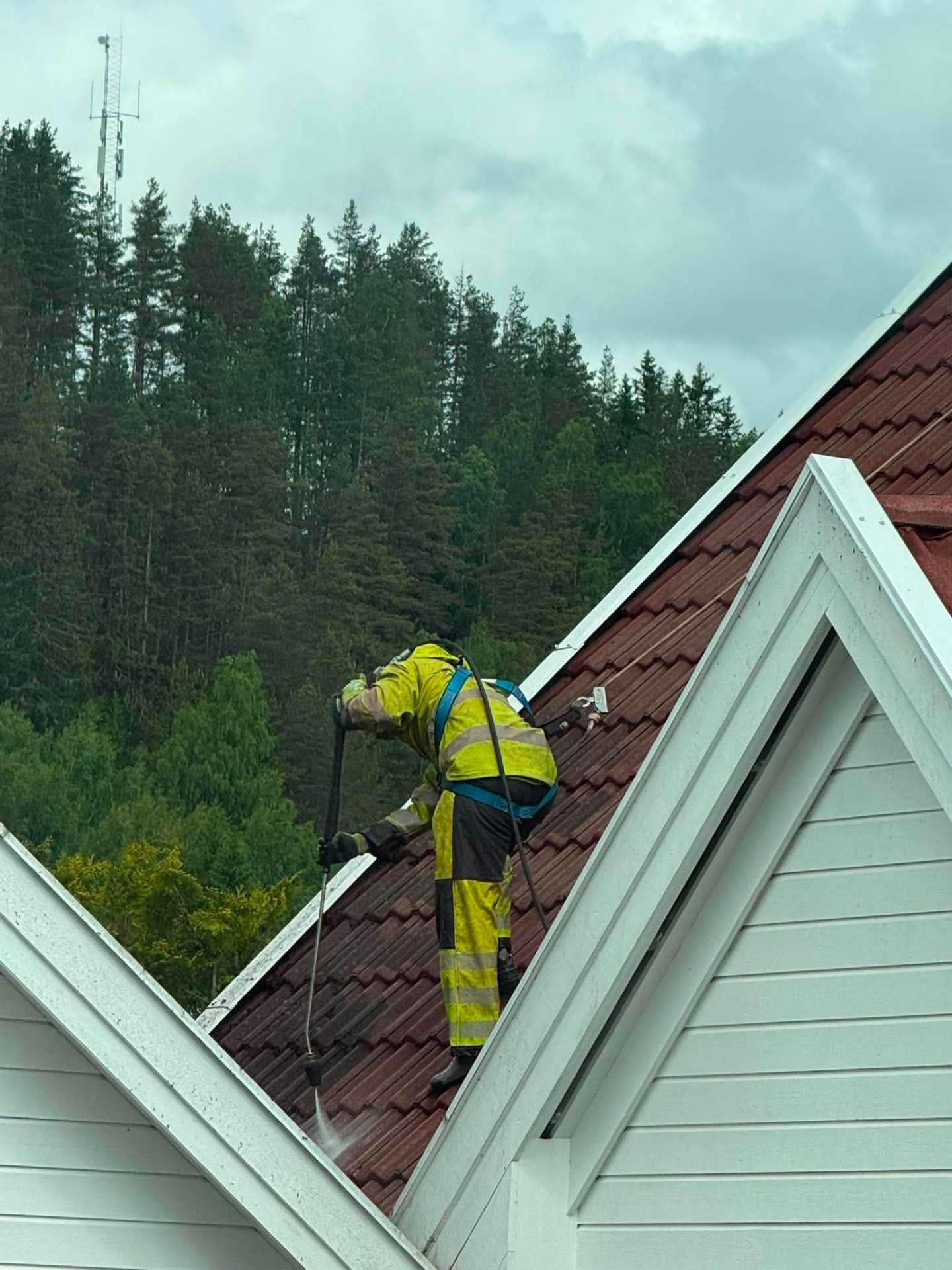 Takvask pågår på hus i skogkanten