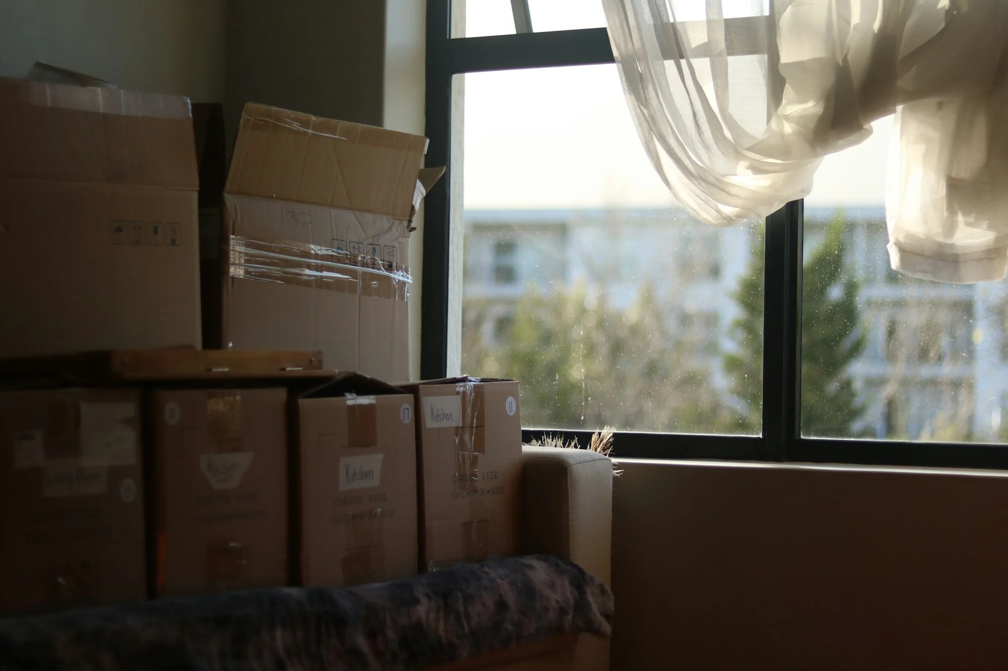 Move-Out Cleaning