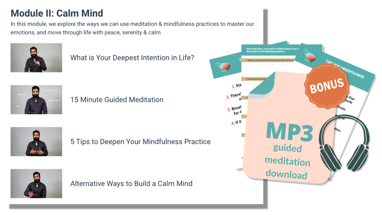 Module II — video lessons and workbook pages