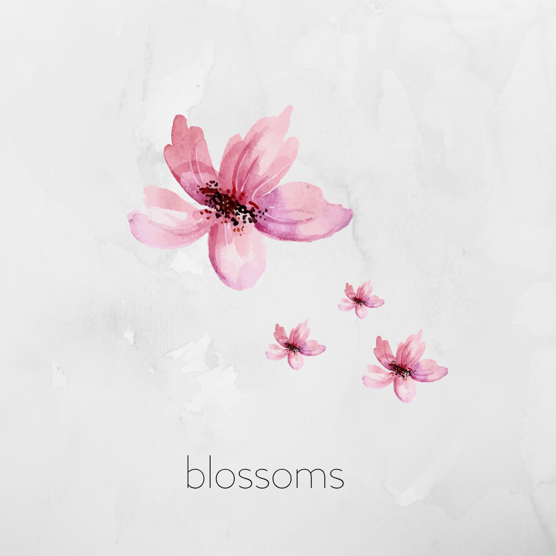 Blossoms — cover