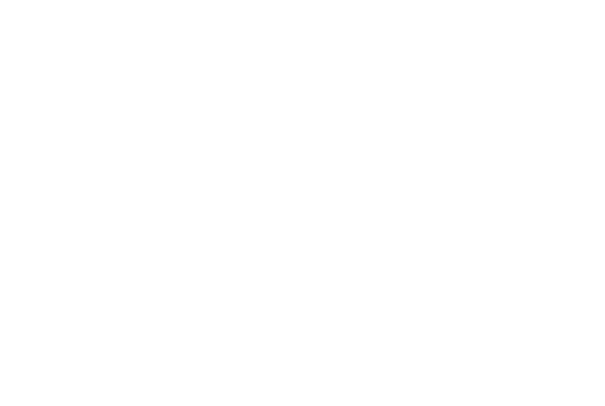 Sarasota Screen Enclosures Logo