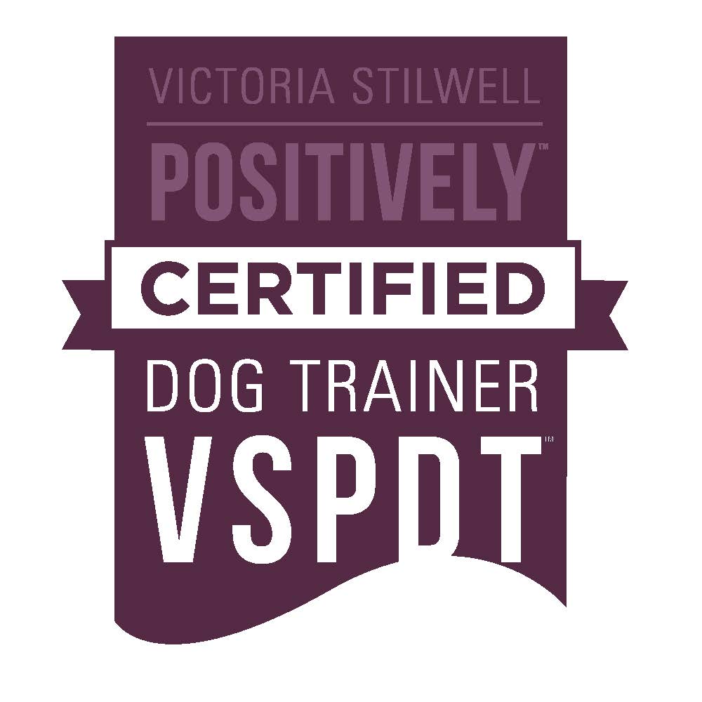 CSAT – Certified Separation Anxiety Trainer