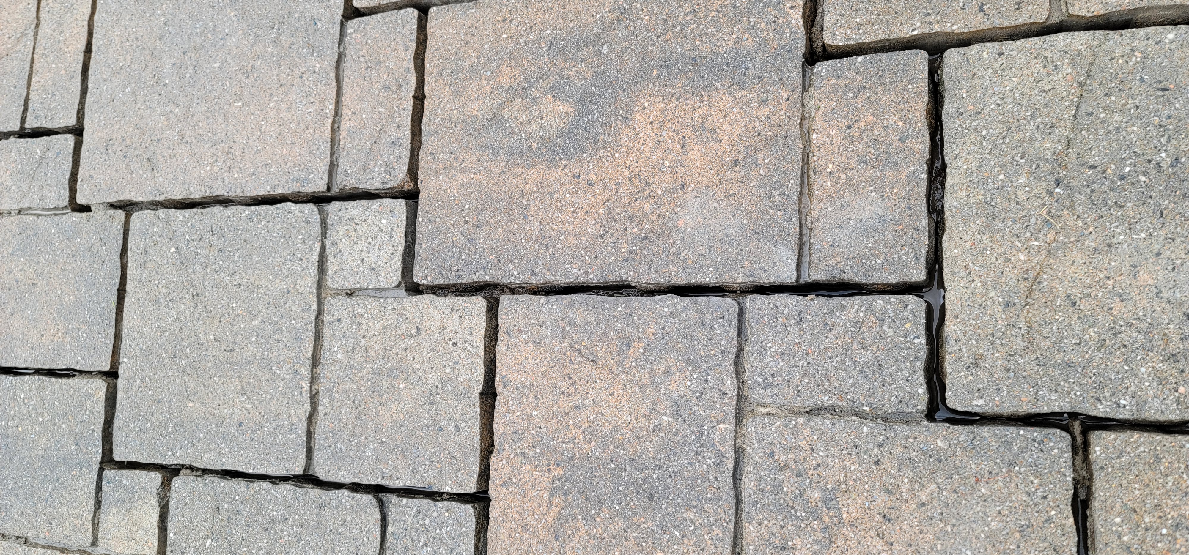 Nettoyage de pavé uni