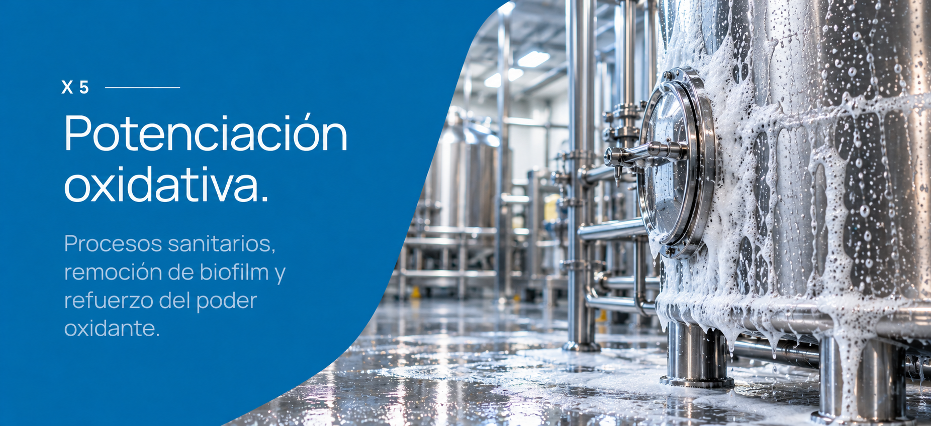 X5: Potenciación oxidativa para protocolos profesionales de higiene industrial.