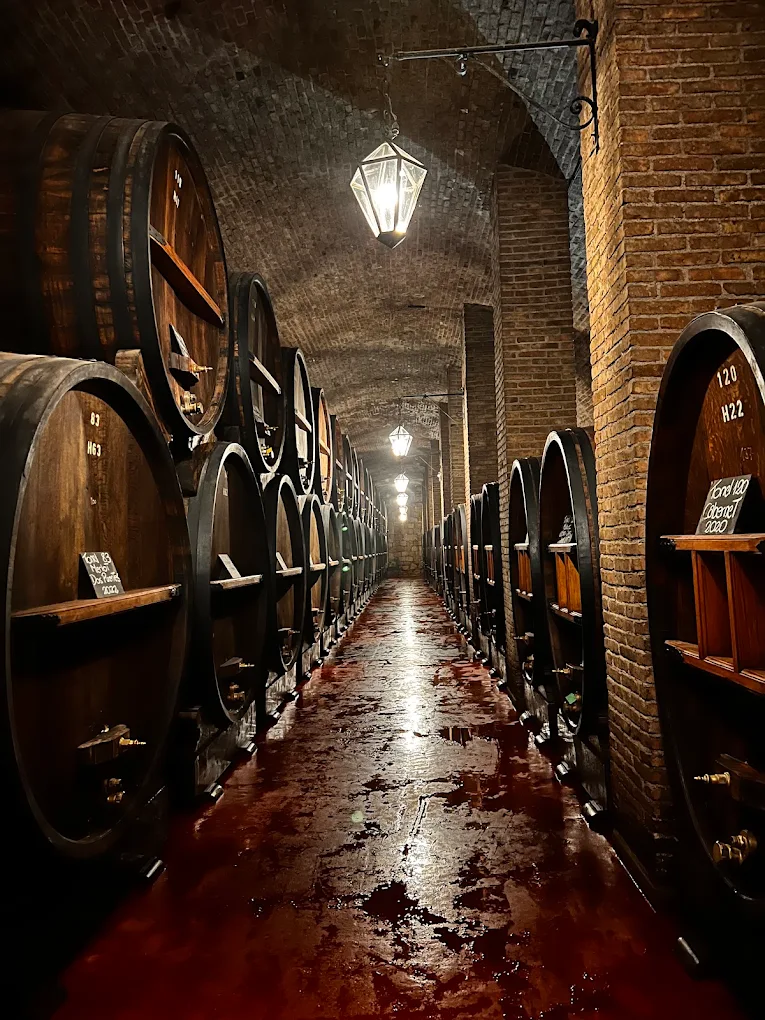 Cava y sector de guarda de Bodega Weinert.