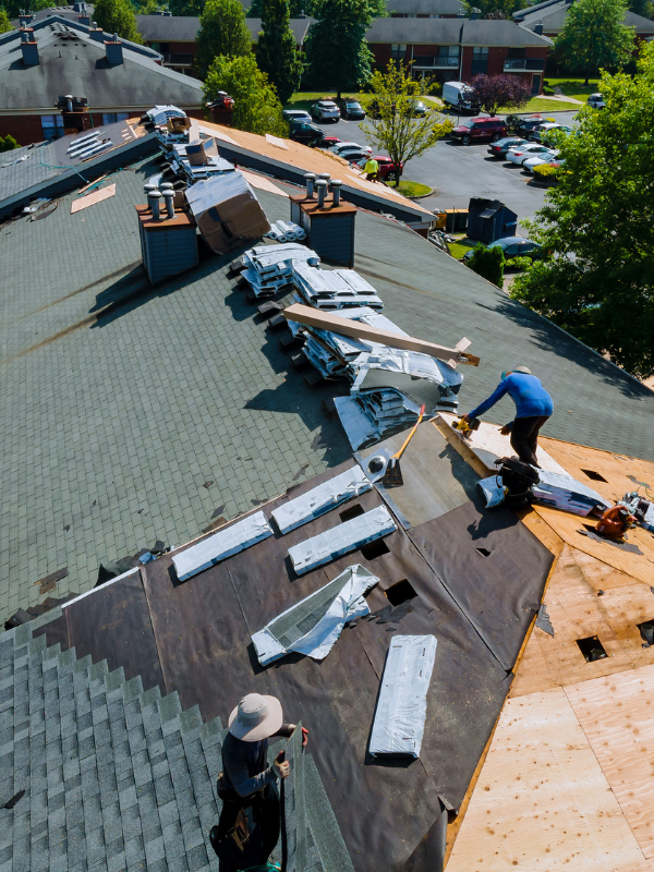 your plumbing needs with professionalism and care