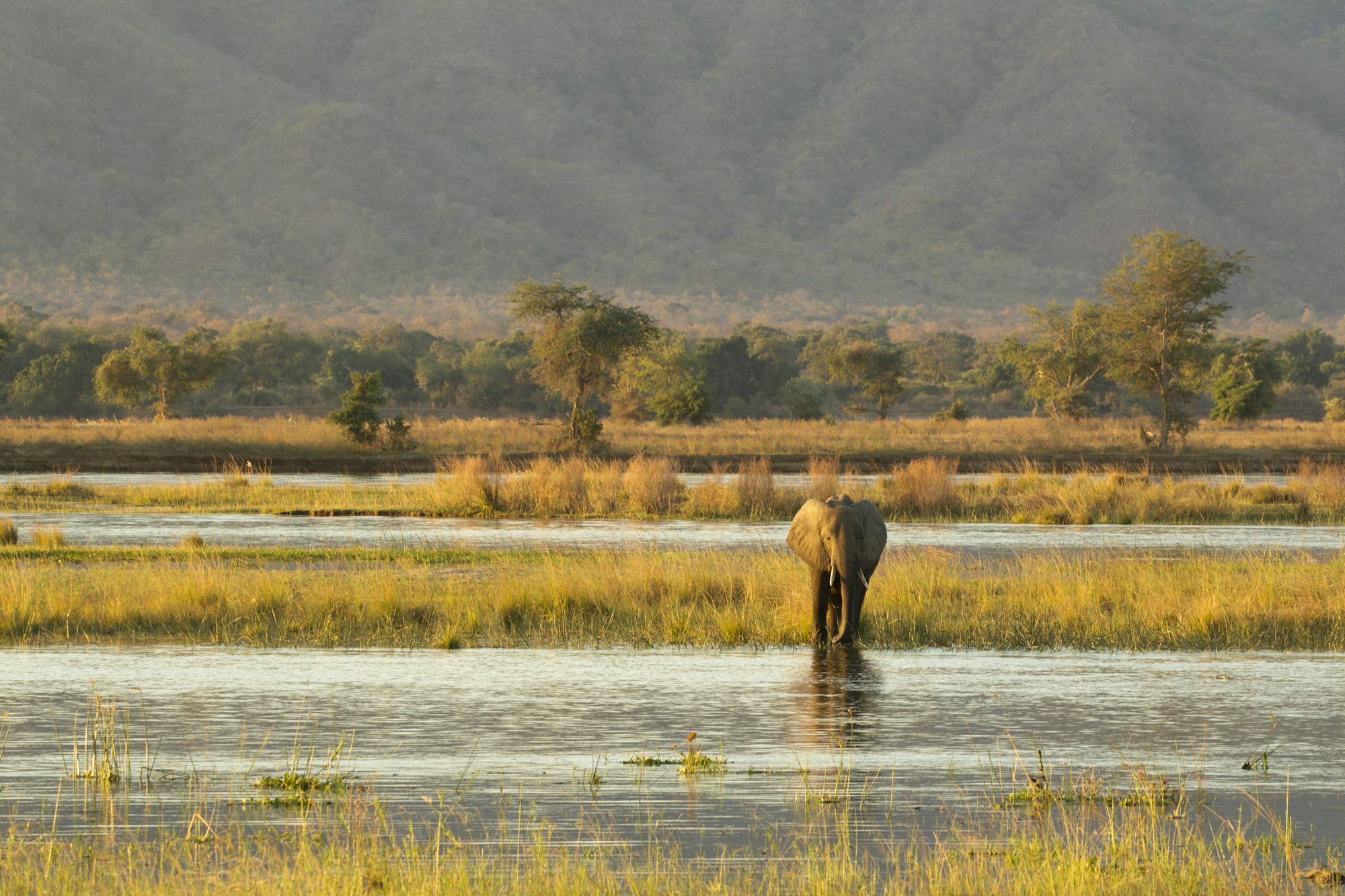 Rwanda Safari Packages