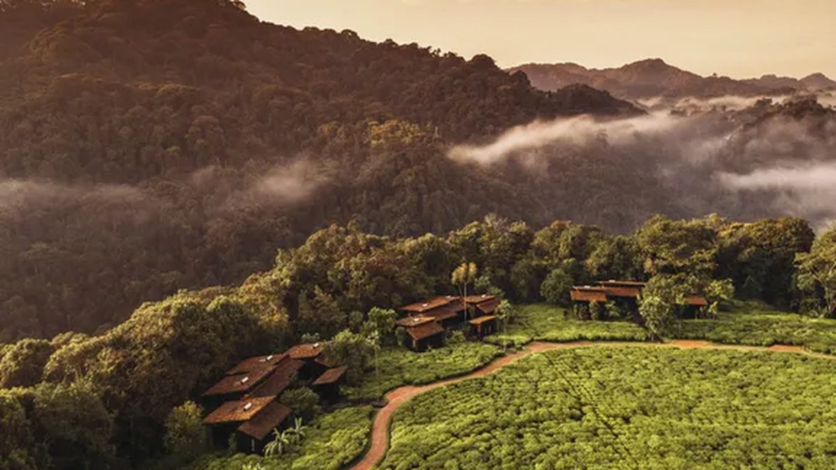 One&Only Nyungwe House