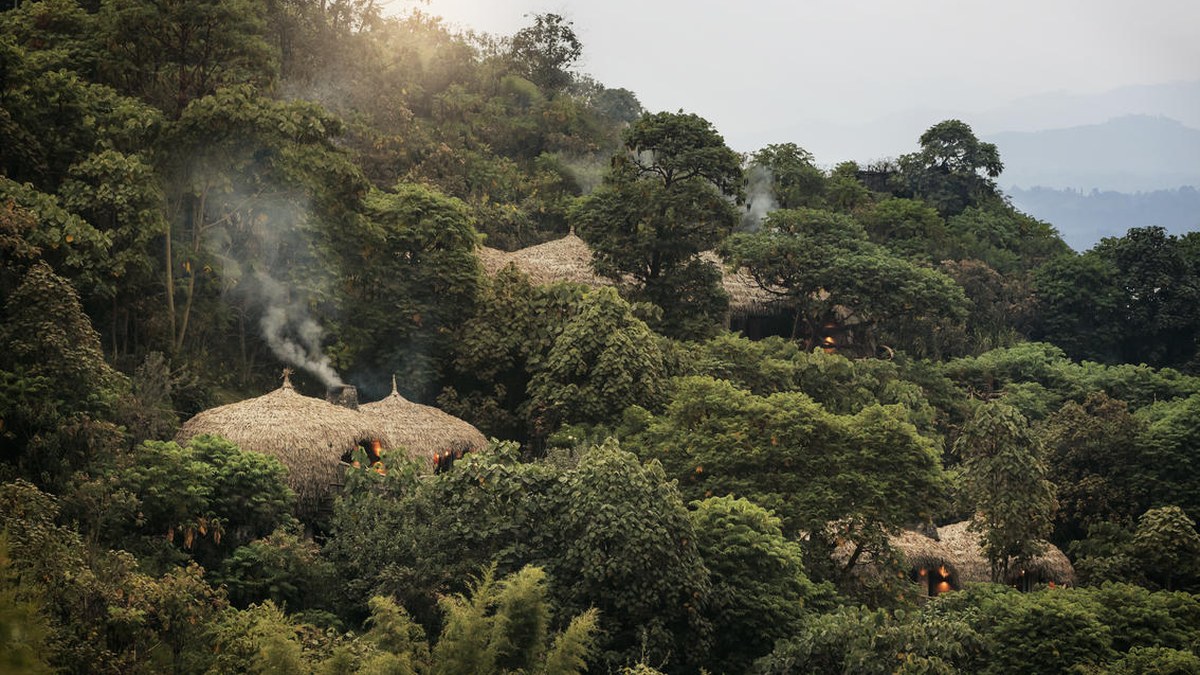 Wilderness Bisate