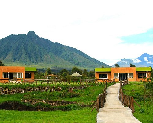 Mountain Gorilla View Lodge
