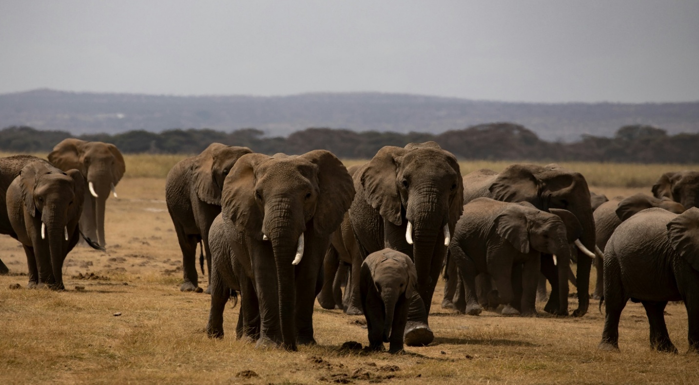 Tanzania
