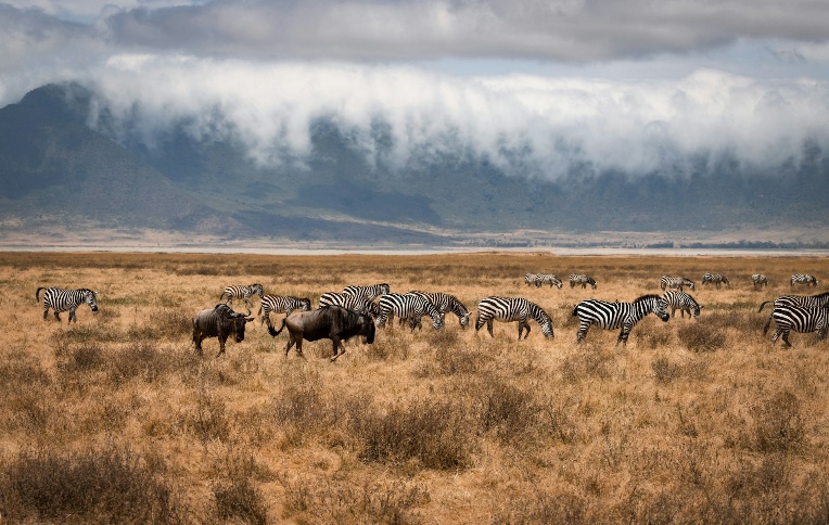8 Days Tanzania Sky Safari