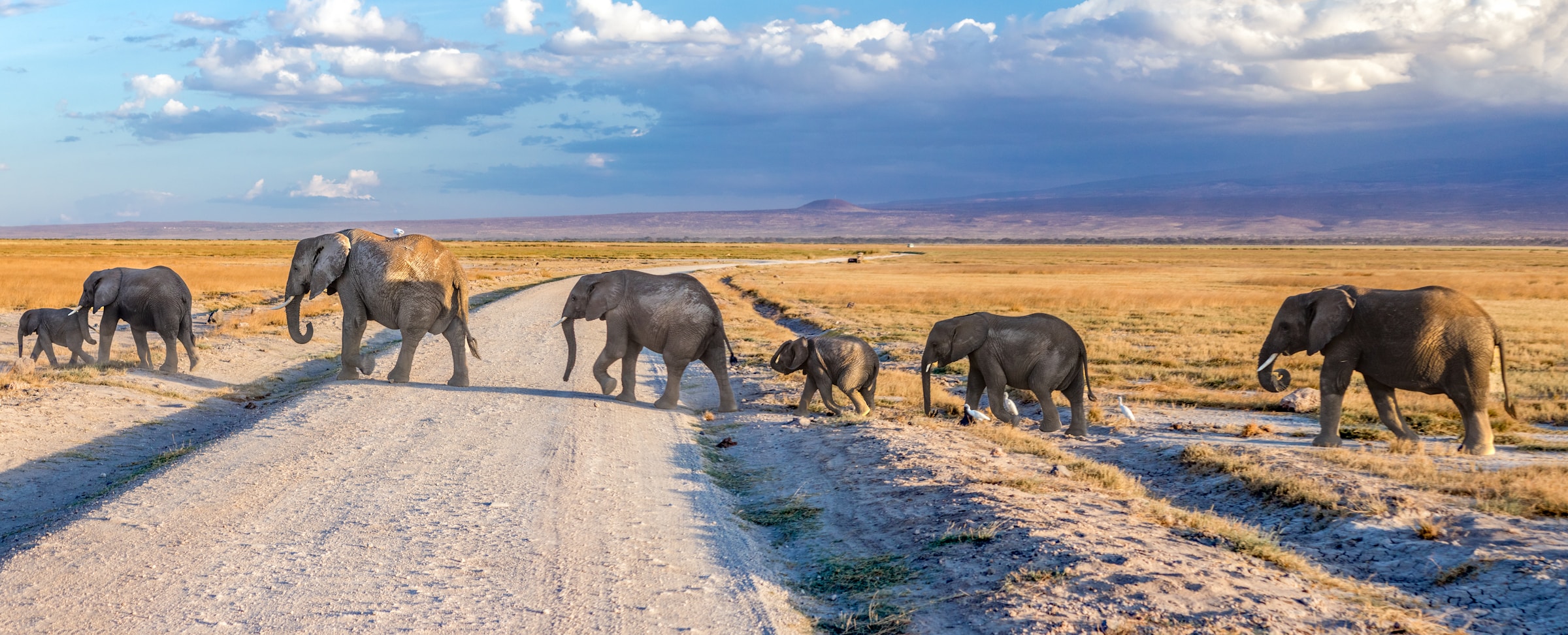 Kenya Luxury Safari & Beach Escape