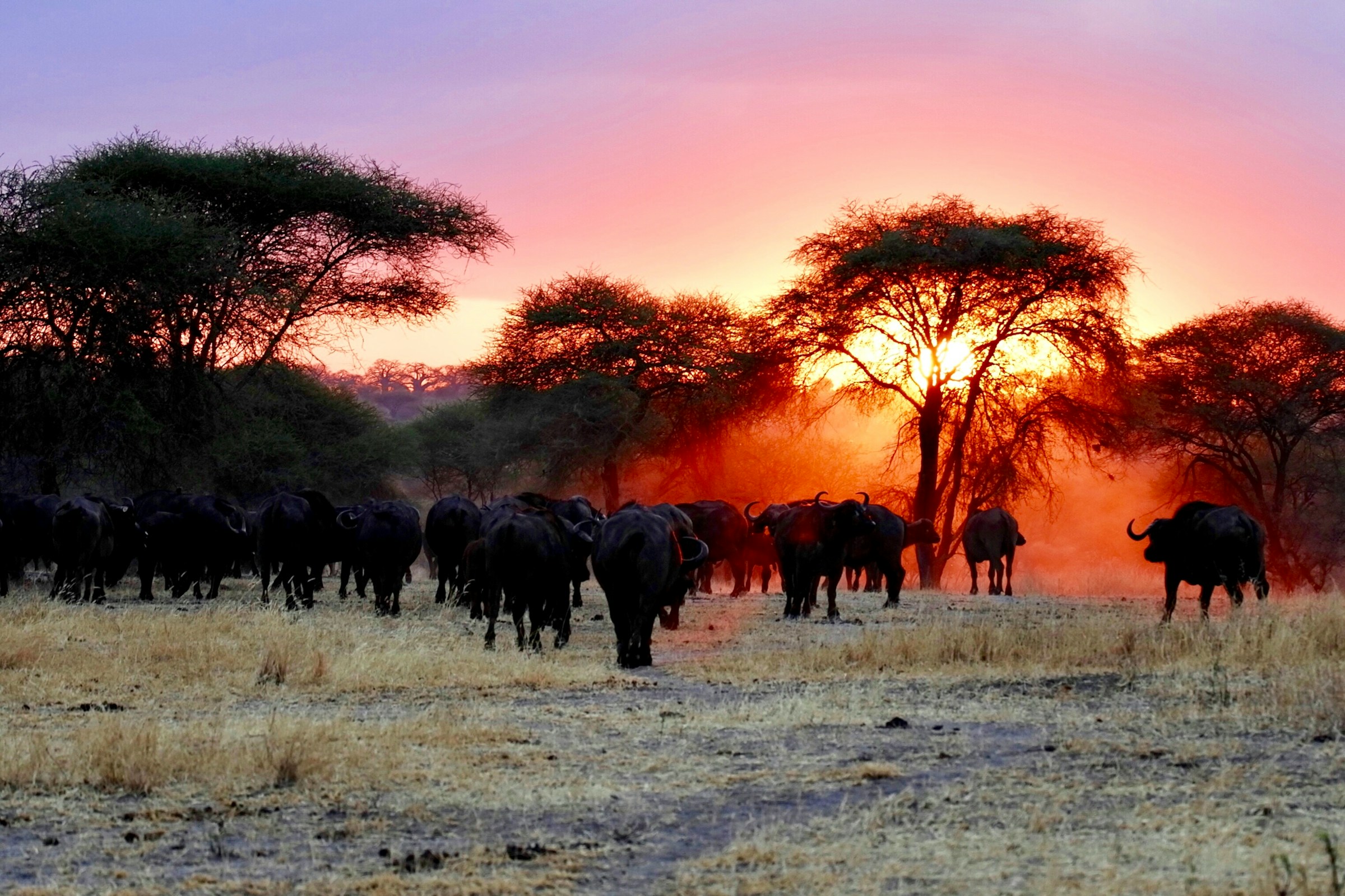 Gallery image 1
